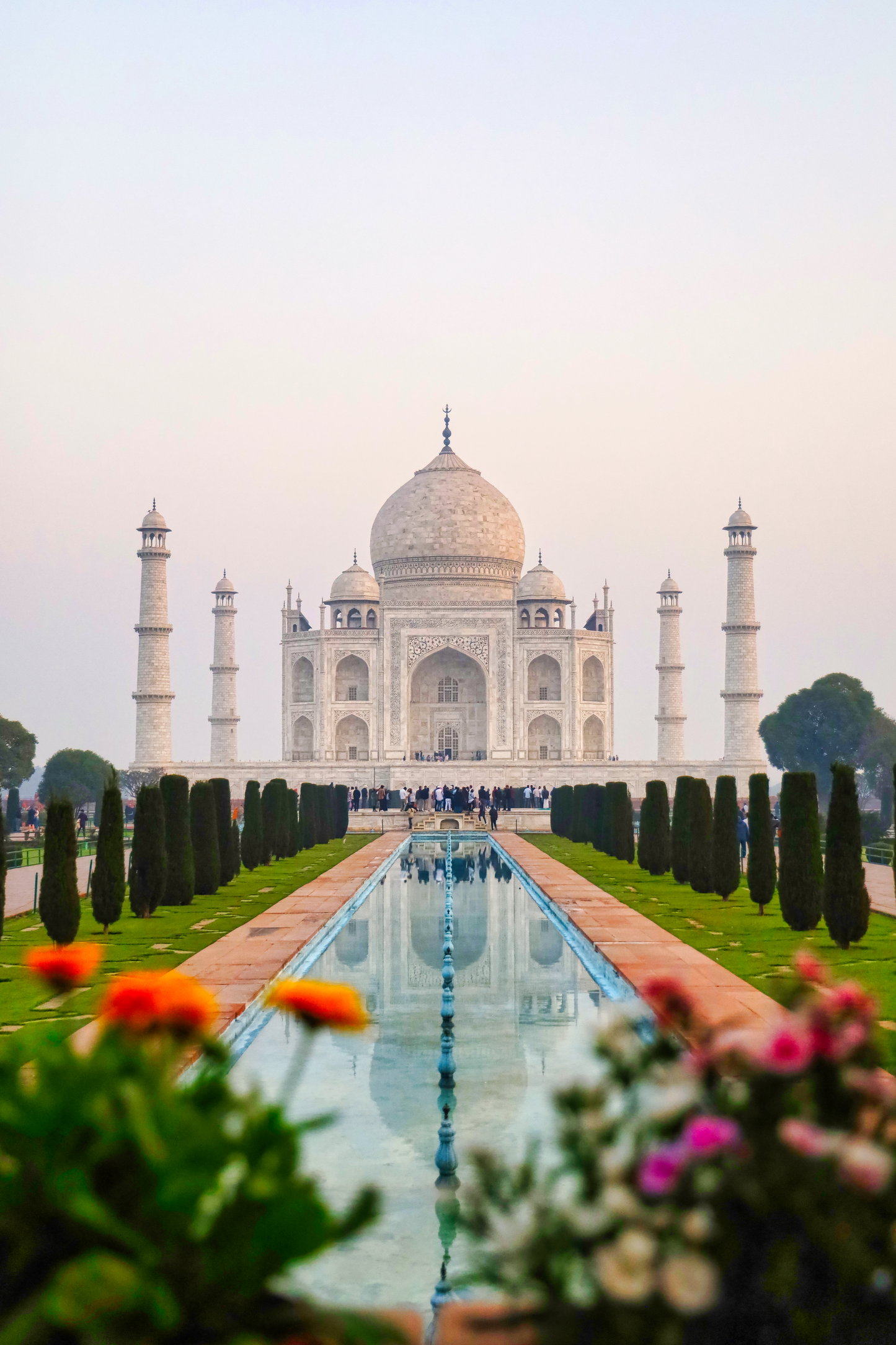 India - Taj Mahal Flowers