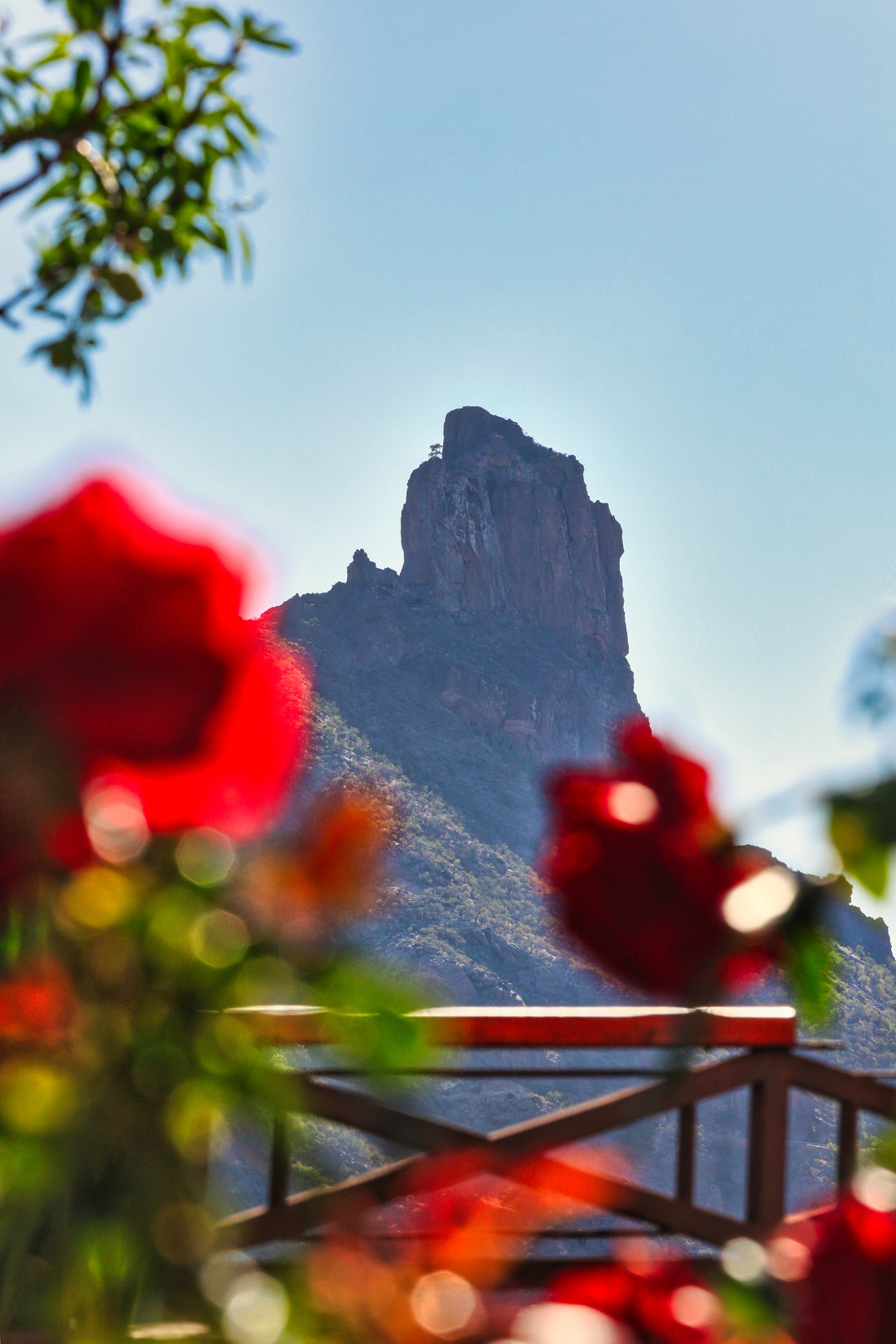 Rincones de Gran Canaria