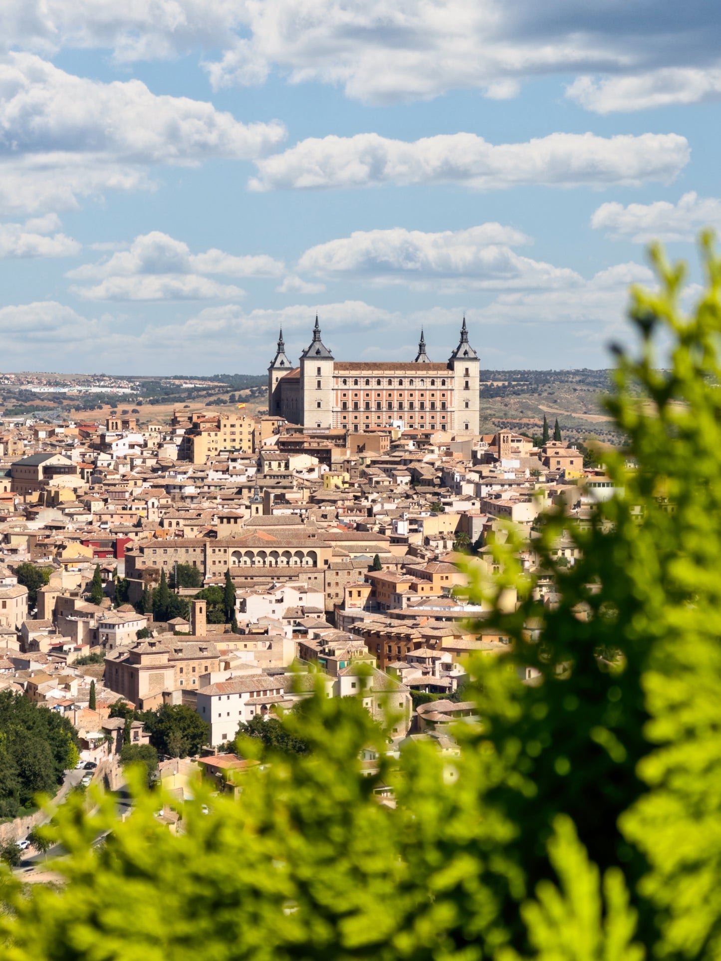 Toledo - El Alcázar y el árbol