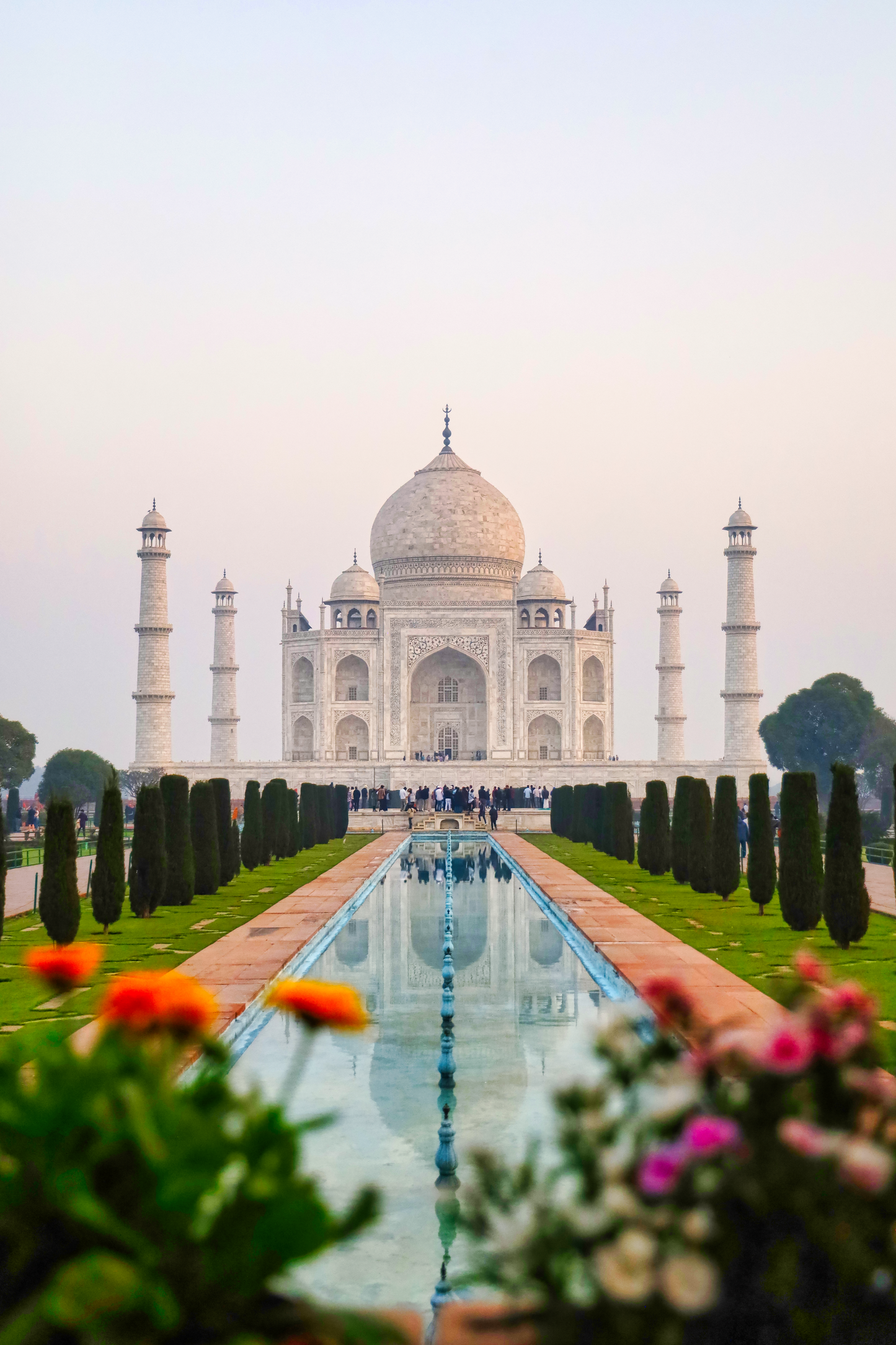 Inde - Fleurs du Taj Mahal